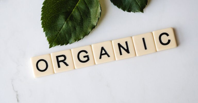 Evde Organik Tarım: Doğal Yaşamın Kapılarını Aralayan 5 Pratik Yöntem