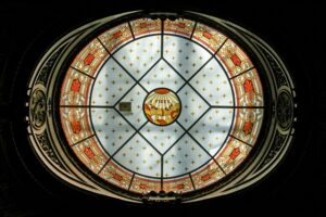 Fide Bakımı: Sağlıklı Bitkiler İçin Bilmeniz Gereken 5 Altın Kural