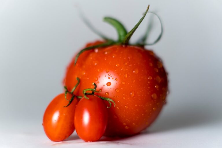 Zararlı Böceklerle Mücadelede Doğal Yöntemlerle Başarıya Ulaşın!