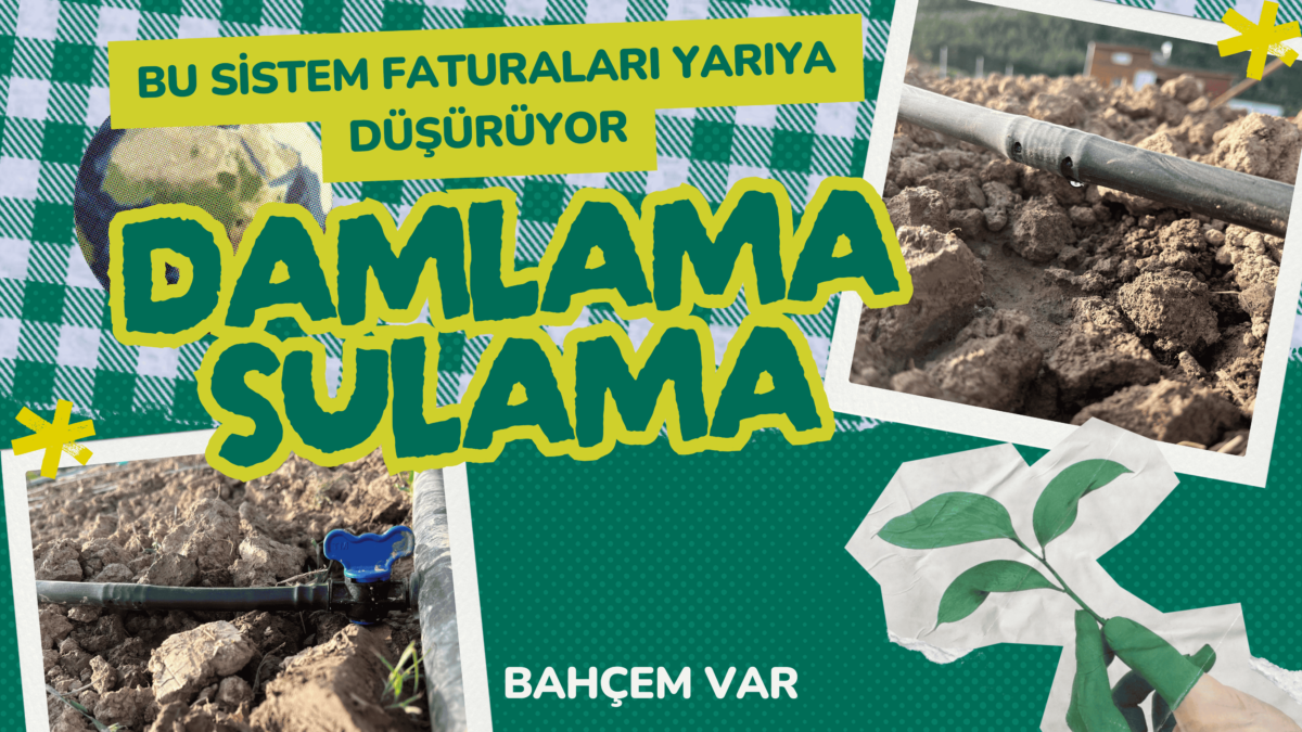 damlama sulama sistemi