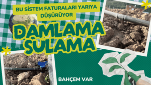 Damlama Sulama Sistemi ile 7 Kat Daha Verimli Bahçe! Uygun Fiyatlı Kurulum Rehberi ve Nasıl Kurulur?