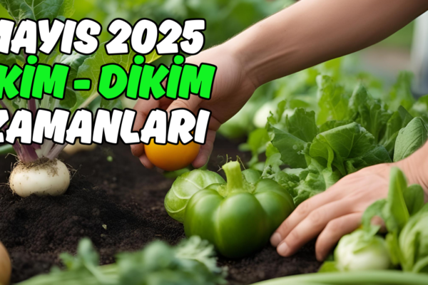 MAYIS AYI EKİM DİKİM ZAMANLARI