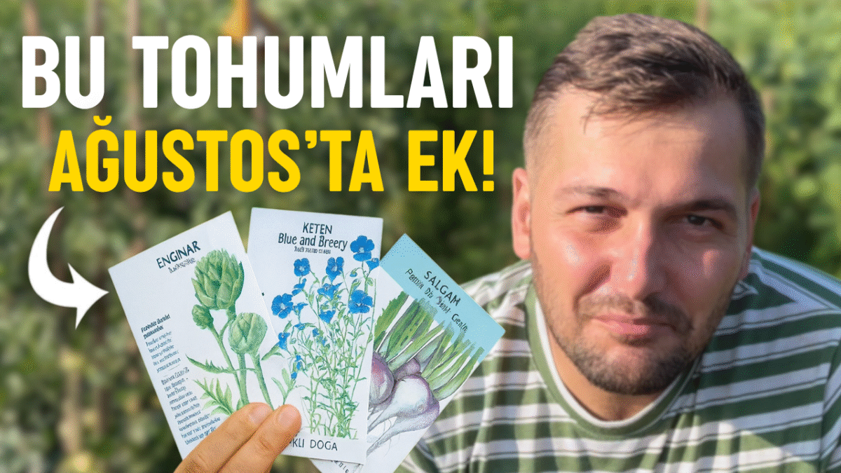 Ağustosta ne ekilir