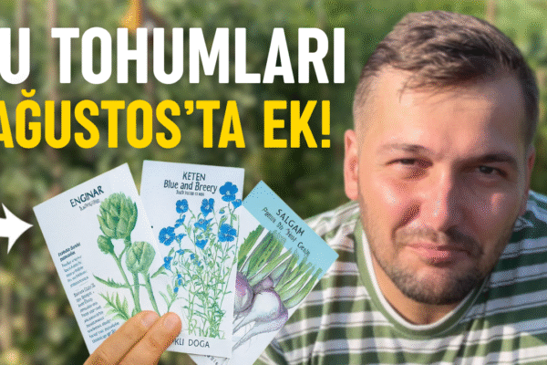 Ağustosta ne ekilir