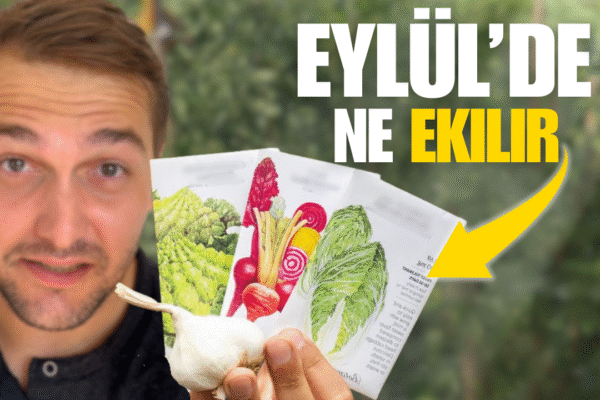 eylül ayında ne ekilir