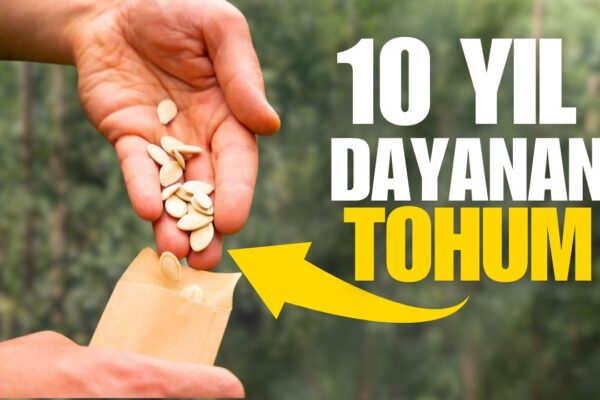 tohum nasıl saklanır