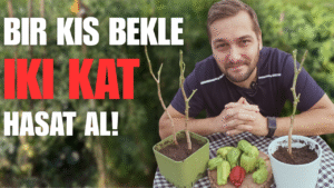 Biberleri Kışın Uyutmanın 7 Harika Yolu: Yeni Sezona Turbo Başlangıç Rehberi