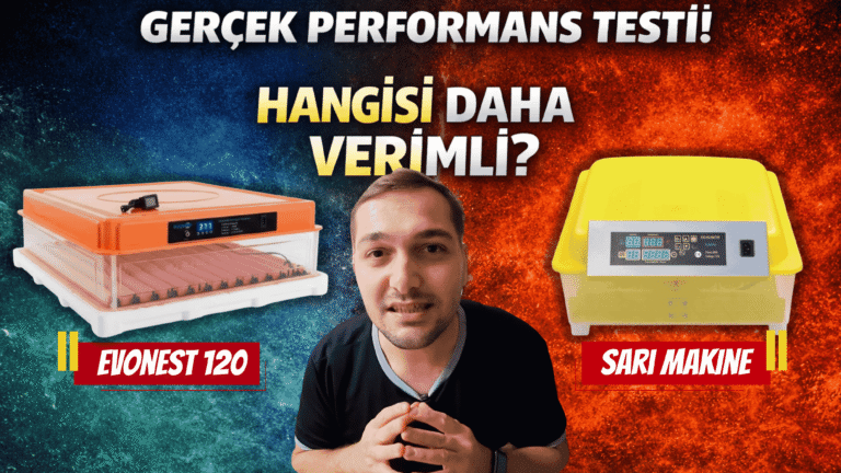 En Verimli Kuluçka Makinesi Hangisi? Evonest 120 vs 56’lık Sarı Makine Gerçek Çıkım Testi