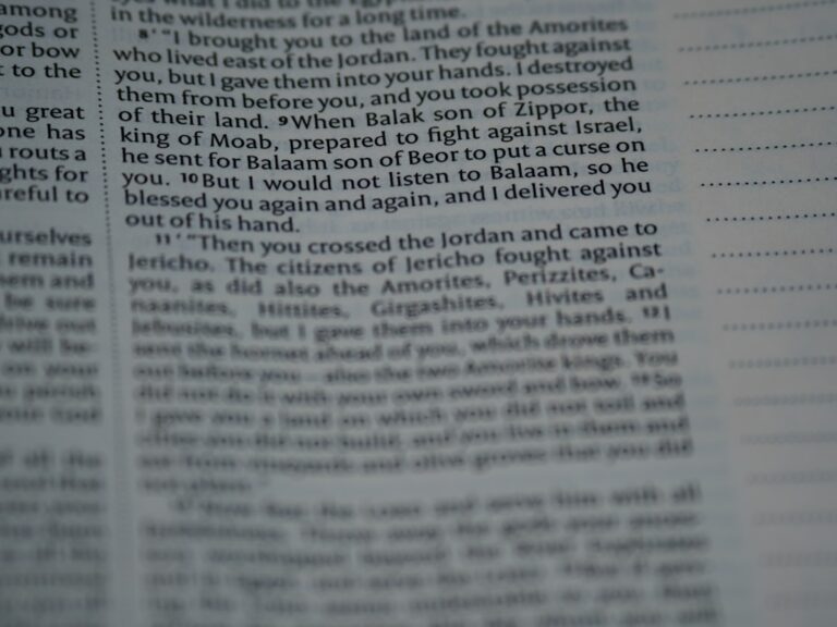 Şubat Ayında Ne Ekilir? 2026 Yılının Tarım Rehberi